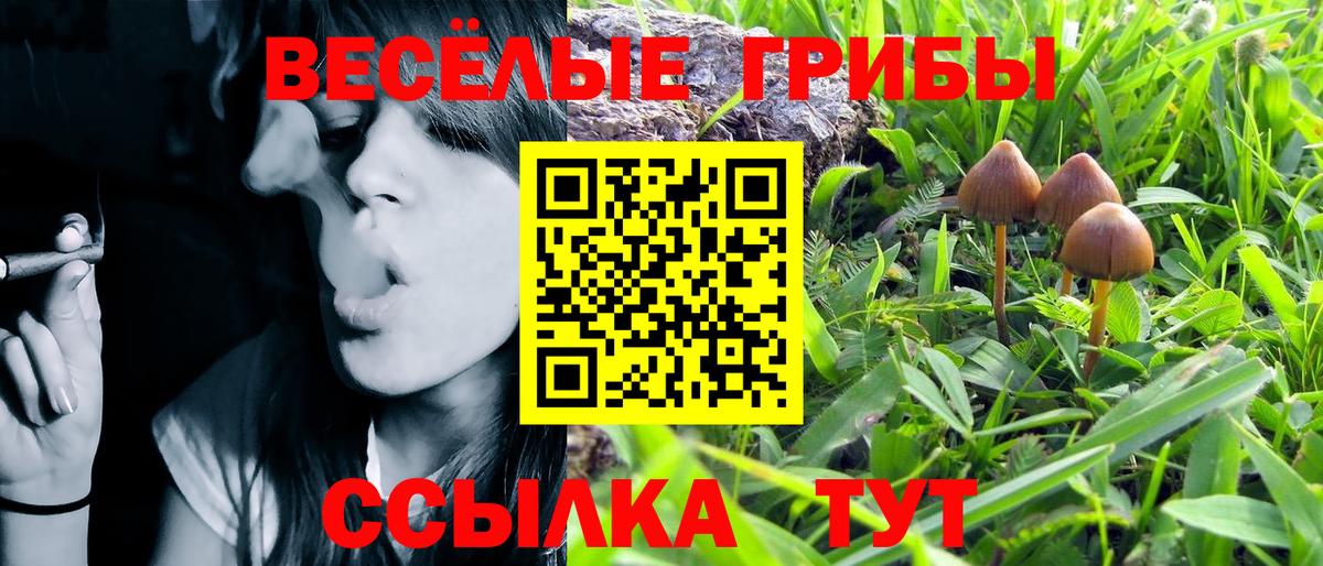 Псилоцибиновые грибы Cubensis  Галлюциногенные грибы мухоморы  Вход с VPN  Корсаков 